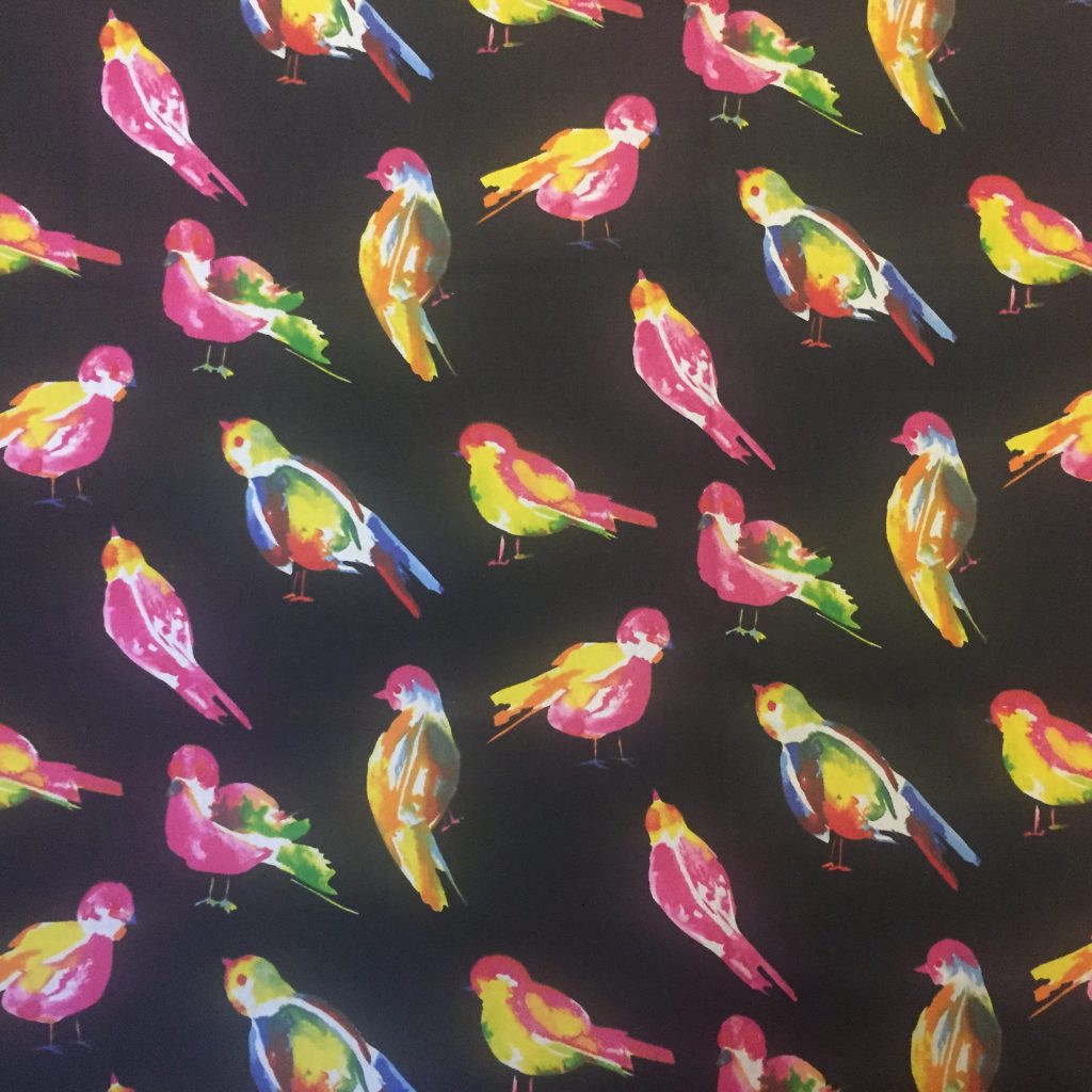 2K Gallery - Bright Birds