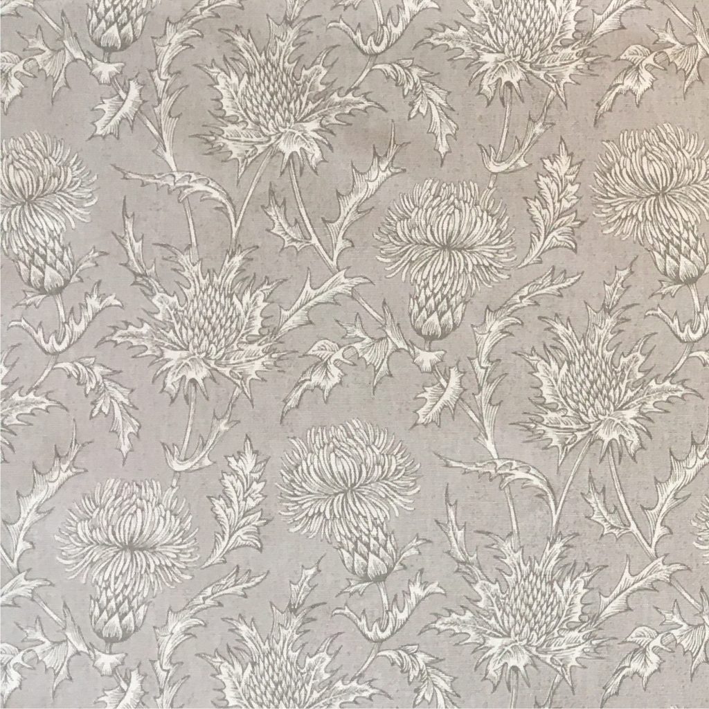 2K Gallery - Grey Thistle