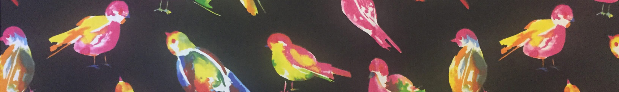 Banner 300 - Bright Birds