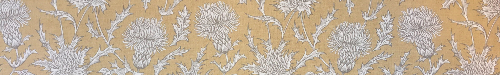 Banner 300 - Mustard Thistle