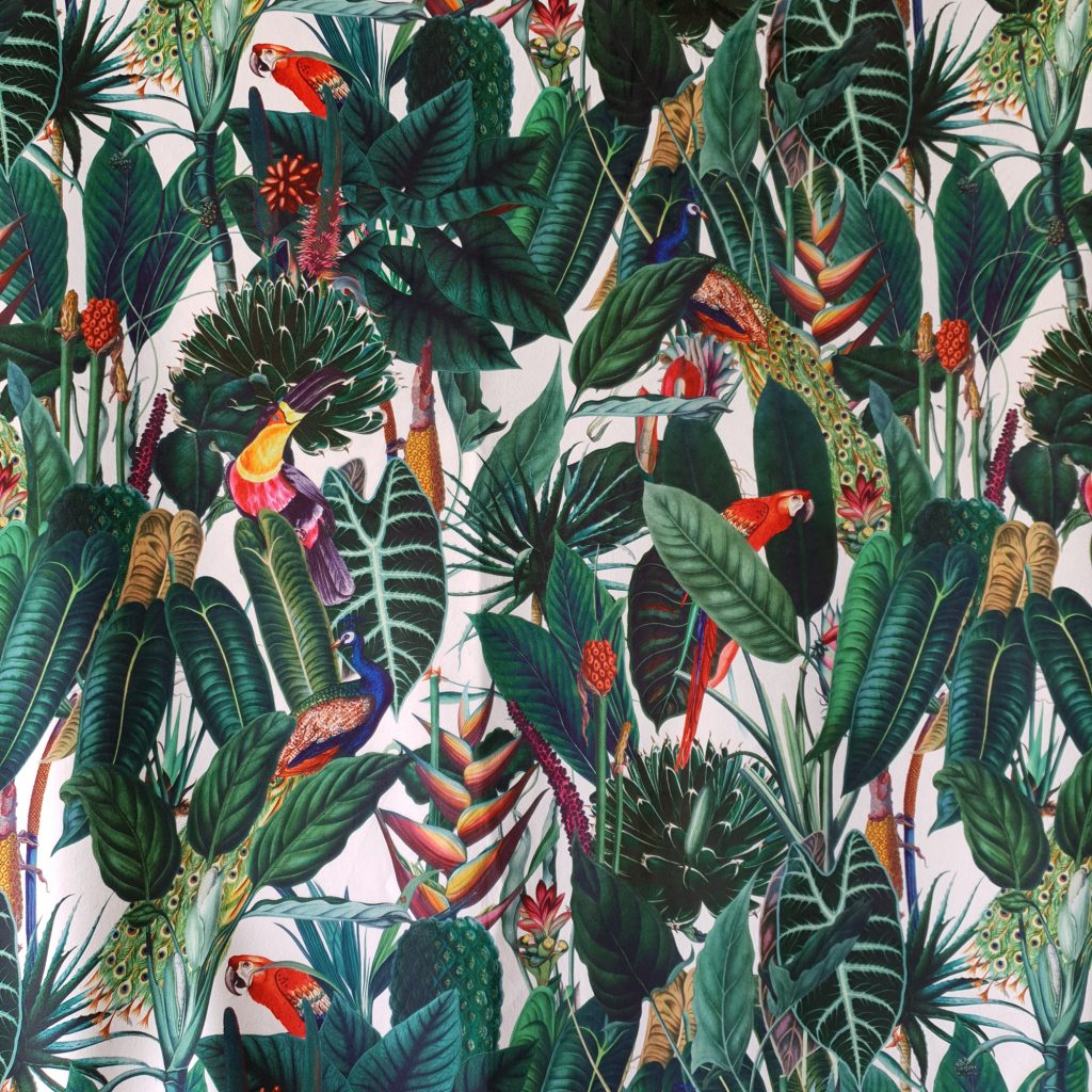 2K Gallery - Parrot Toucan White