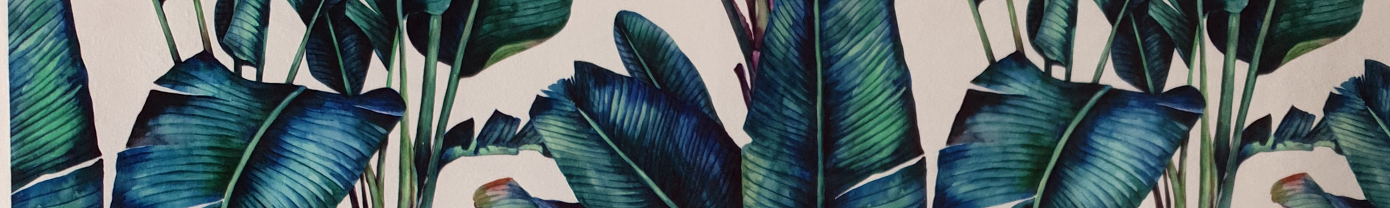 Banner 300 - Palm Frond White