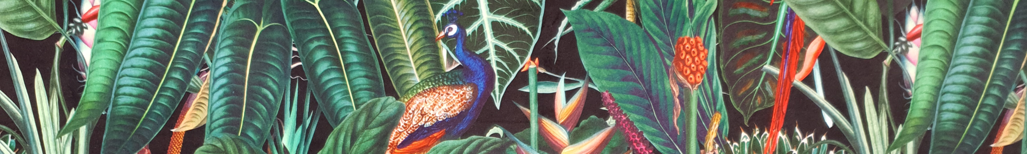 Banner 300 - Parrot Toucan Black