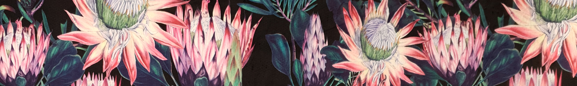 Banner 300 - Spiky Flowers Black