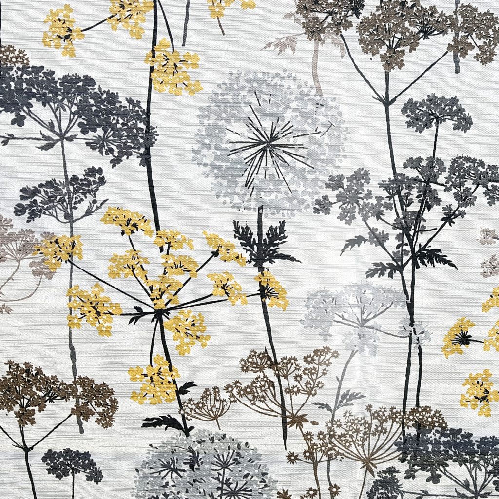 2K Gallery - Cow Parsley